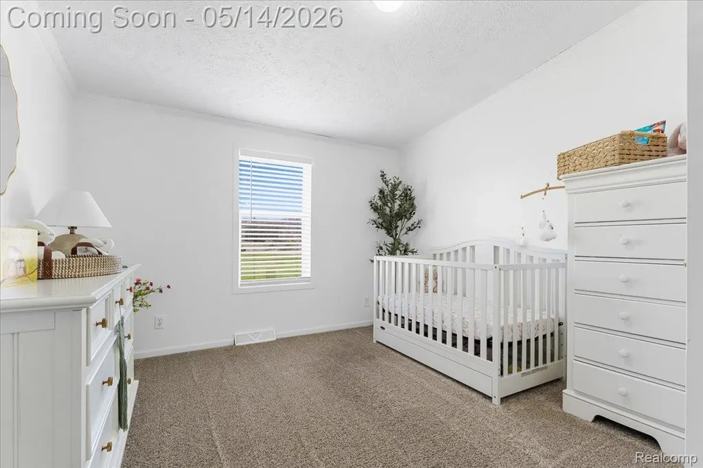 7935 Ravenswood Road Wales Township MI 48027