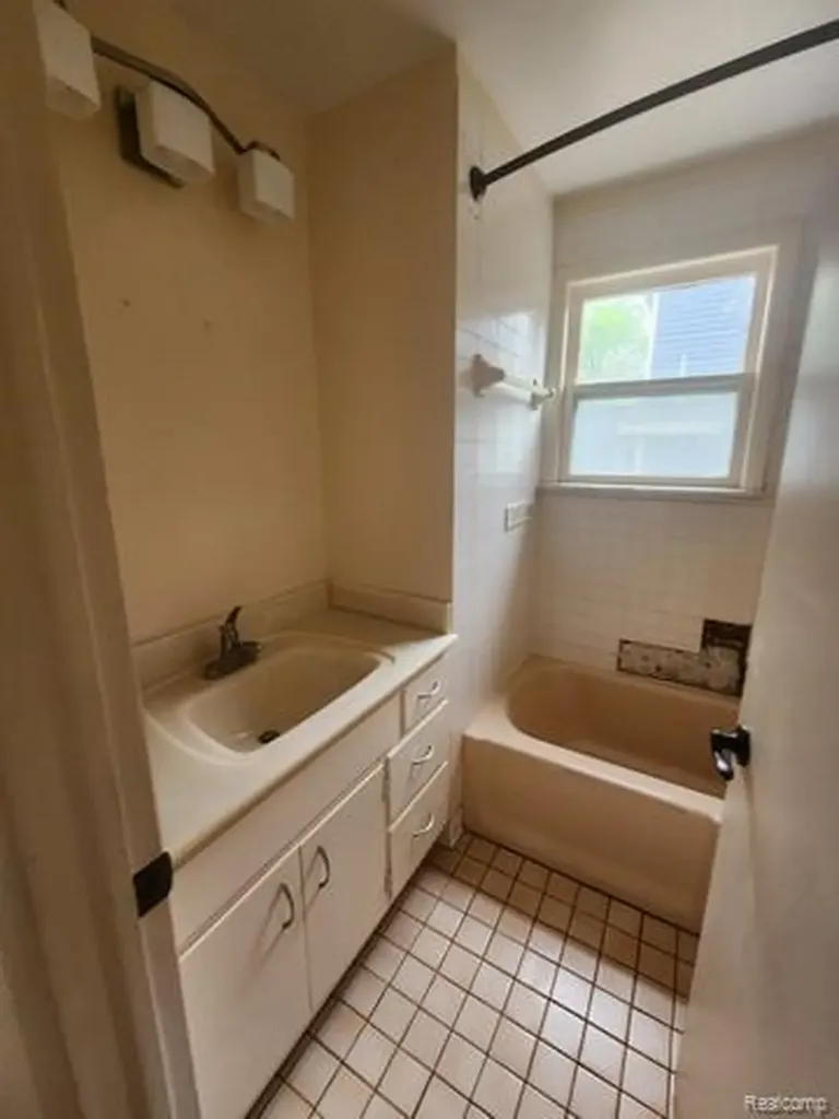 9125 Clinton Street Rose Township MI 48442