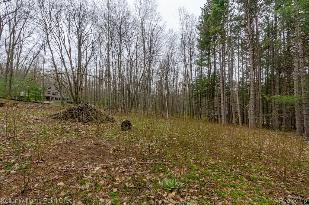 228 Clearview Drive Lyon Township MI 48653