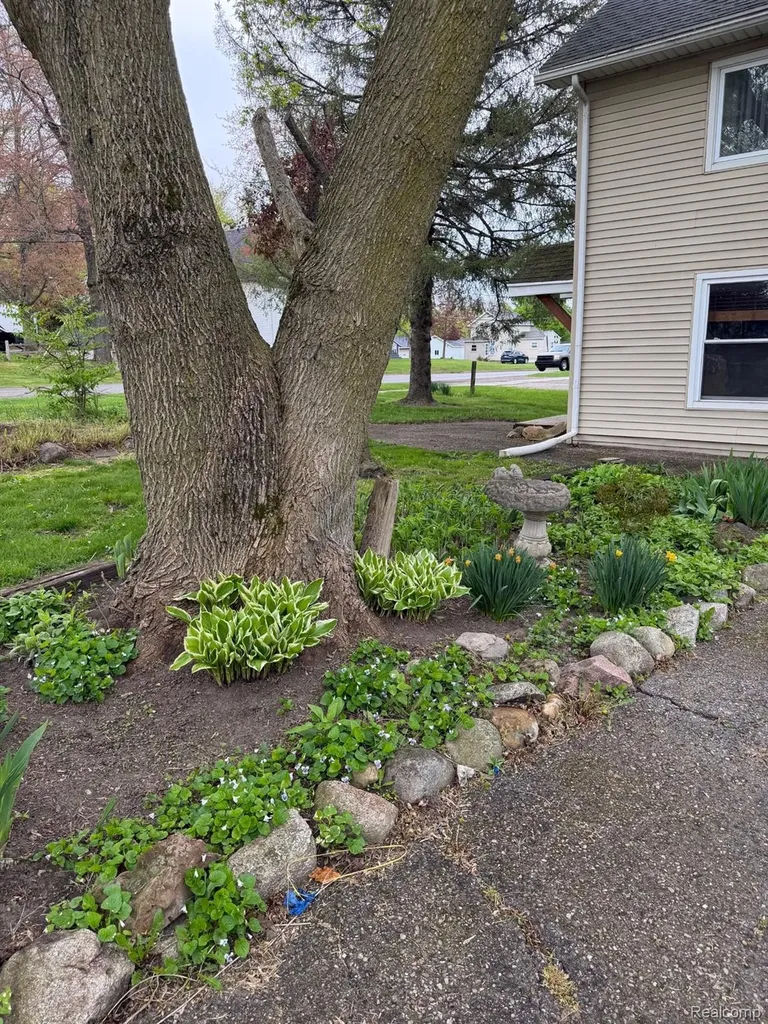 6435 11th Street Otter Lake Village MI 48464
