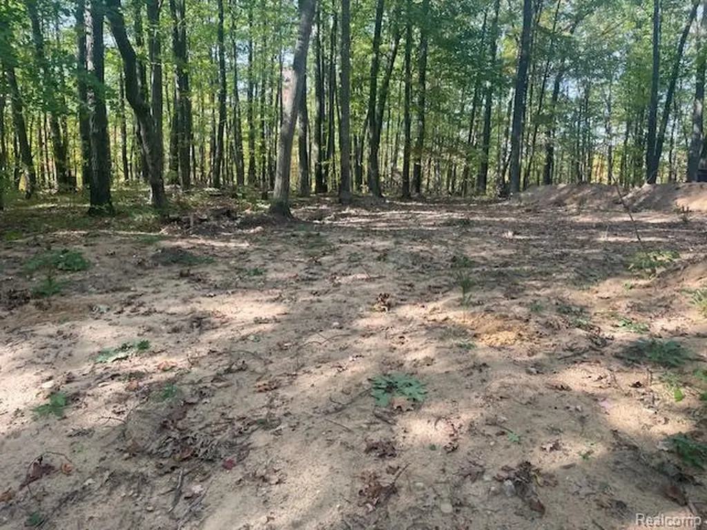 2360 Fawn Circle Hayes Township MI 48625
