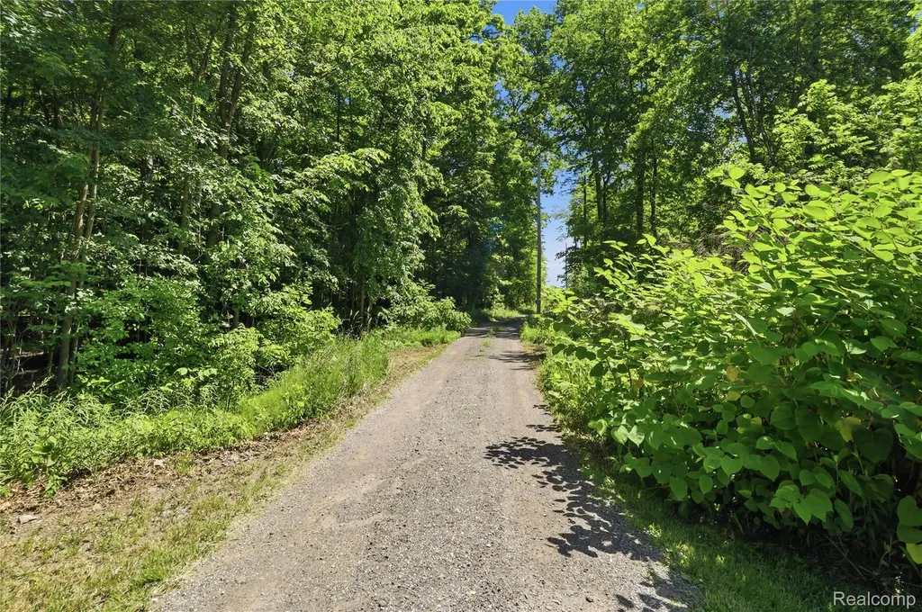 14830 County Line Road Burns Township MI 48418