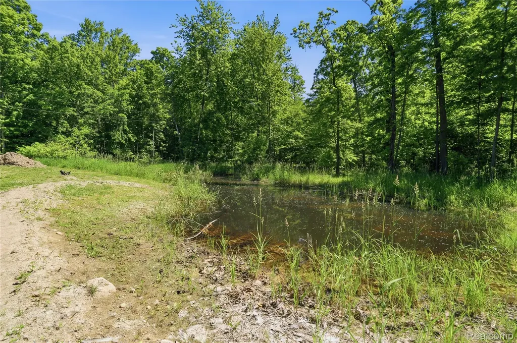 14830 County Line Road Burns Township MI 48418