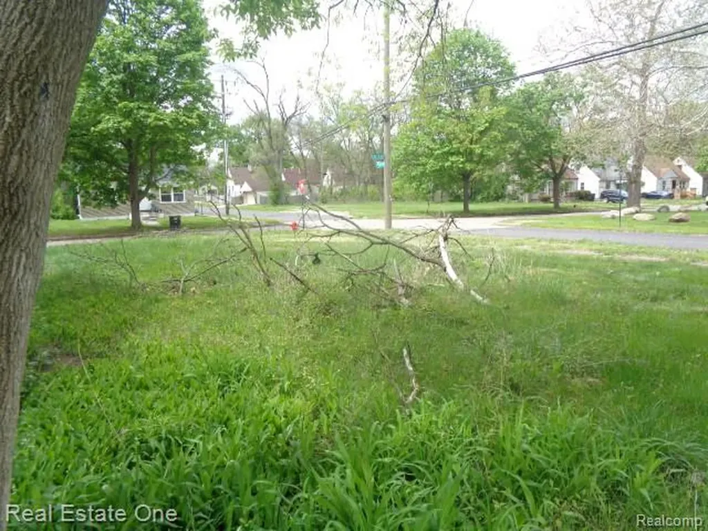 15772 Chatham Street Detroit City MI 48223