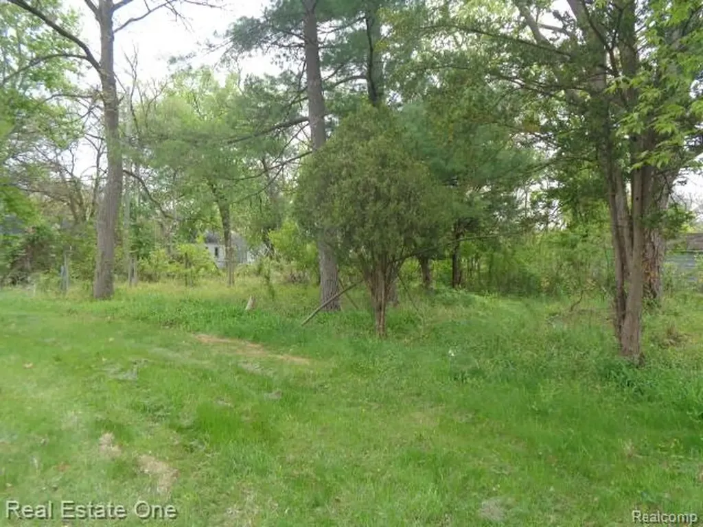 15772 Chatham Street Detroit City MI 48223