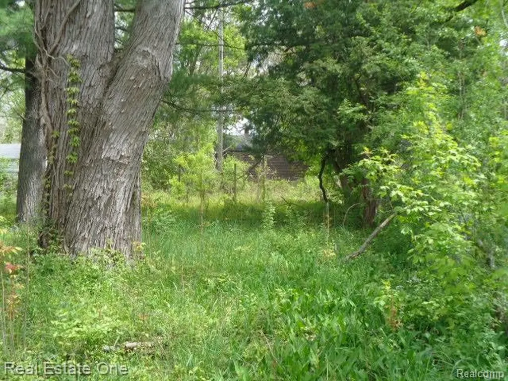 15772 Chatham Street Detroit City MI 48223