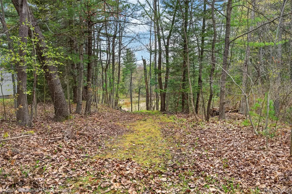 5429 Daily Road Clement Township MI 48610