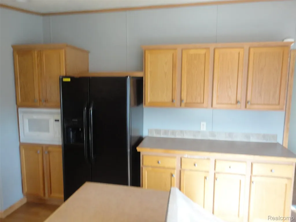 3913 Benjamin Way Raisinville Township MI 48161