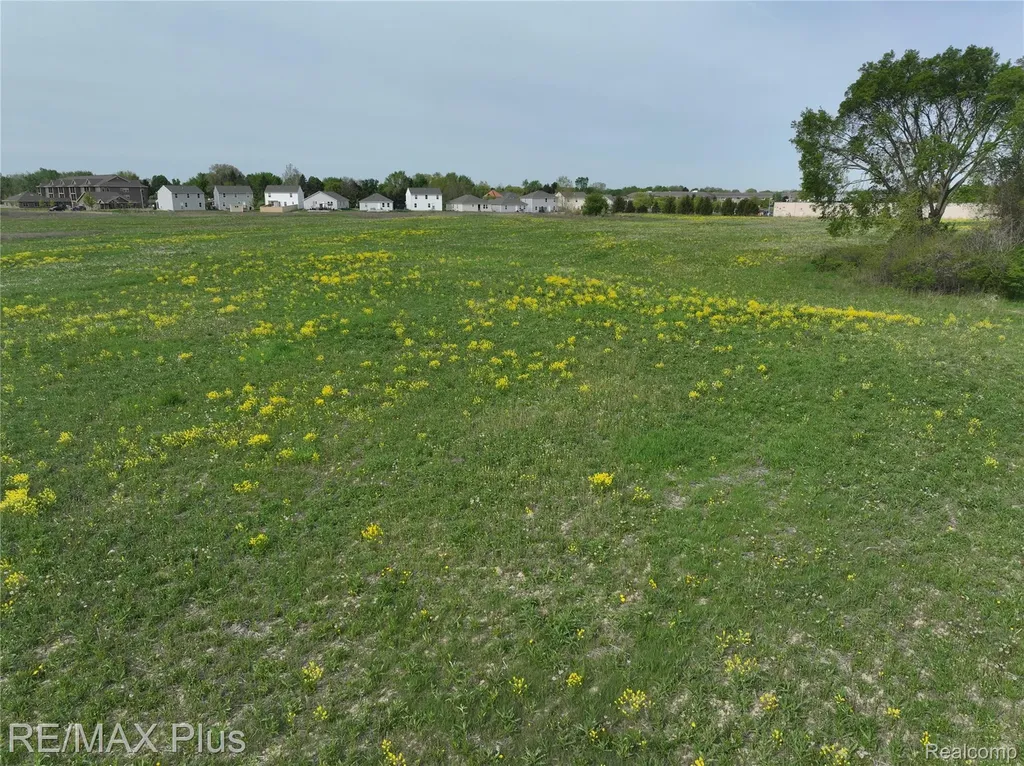 00 Woodbridge Park Avenue Mayfield Township MI 48446