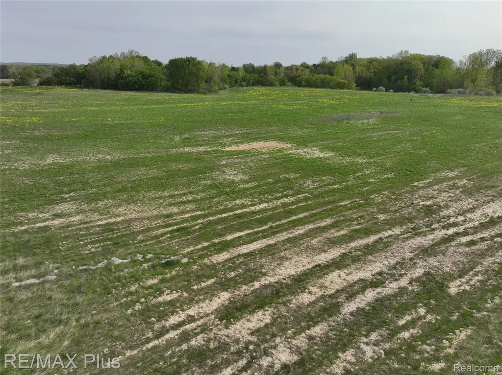 00 Woodbridge Park Avenue Mayfield Township MI 48446