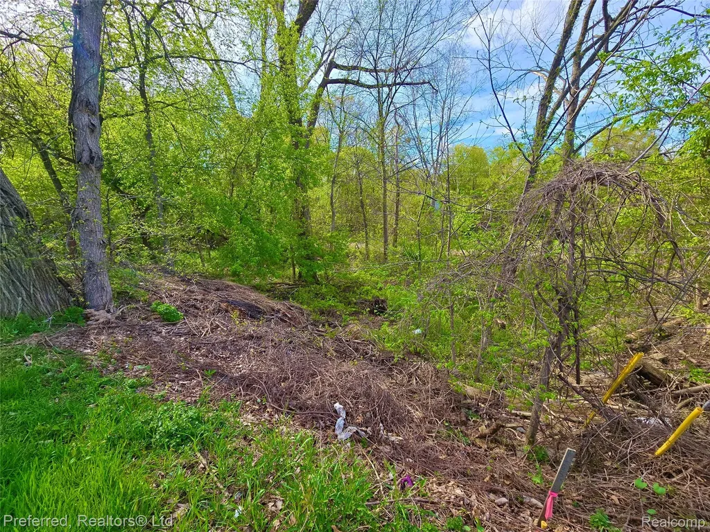 9691 Elizabeth Lake Road White Lake Charter Township MI 48386
