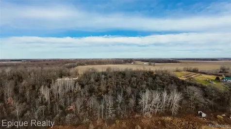 0000 Brown Road Greenwood Township MI 48006
