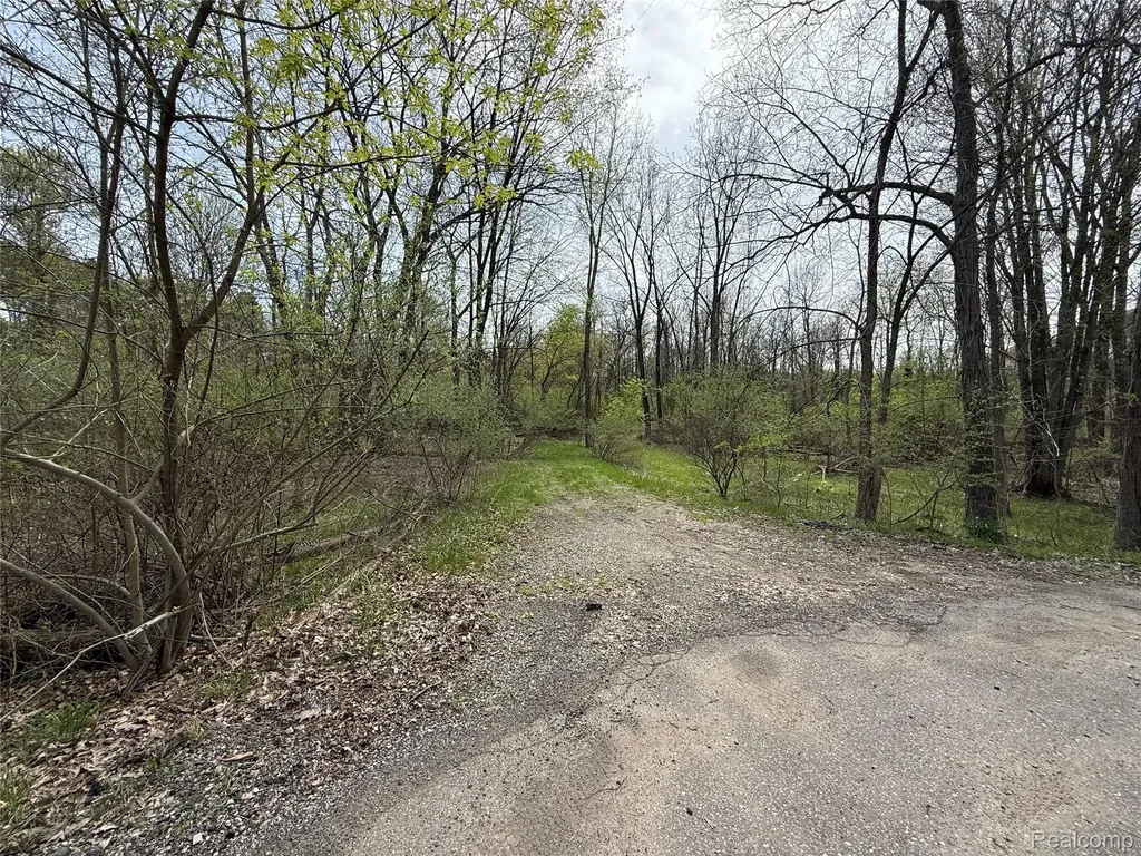 Lot 66 Preserve Drive Tyrone Township MI 48430