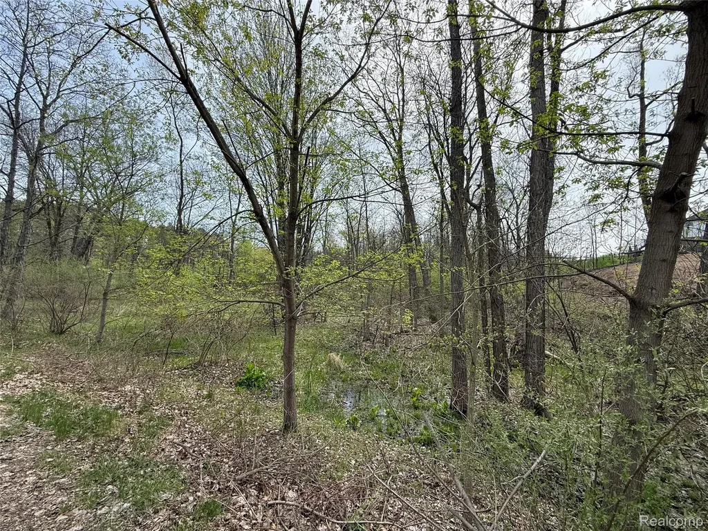 Lot 66 Preserve Drive Tyrone Township MI 48430