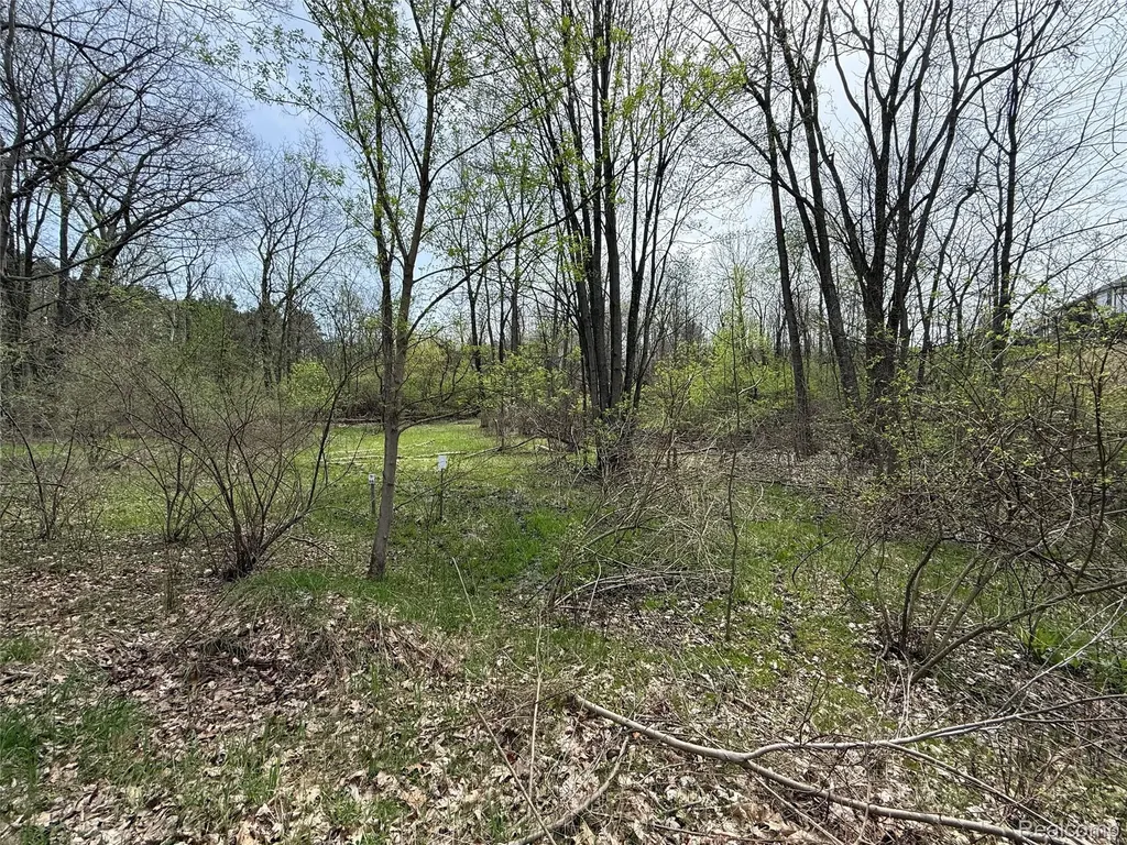 Lot 66 Preserve Drive Tyrone Township MI 48430