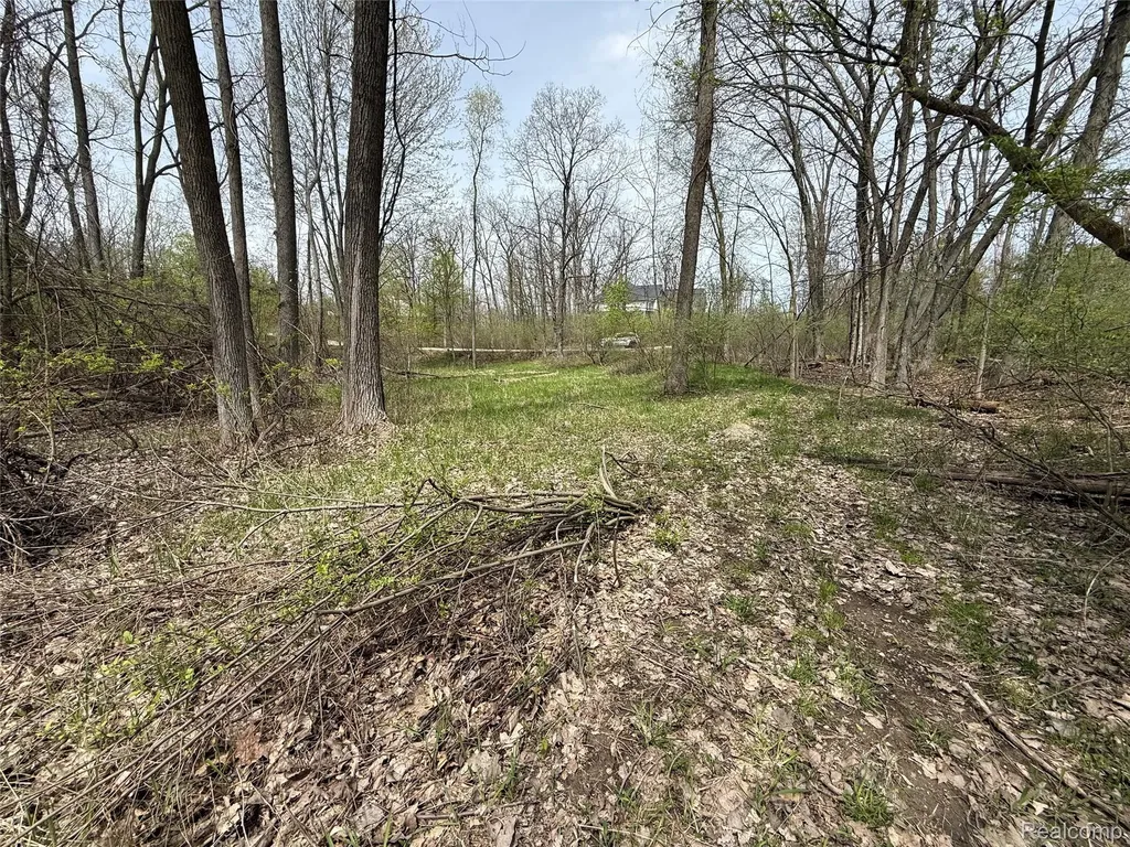 Lot 66 Preserve Drive Tyrone Township MI 48430
