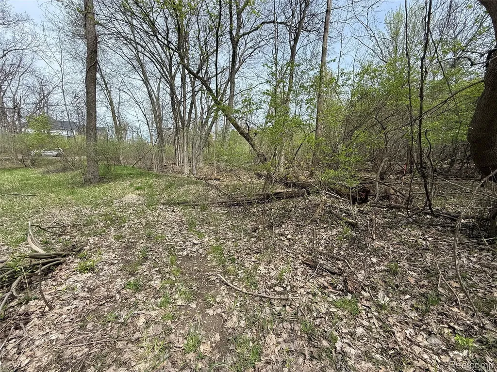 Lot 66 Preserve Drive Tyrone Township MI 48430