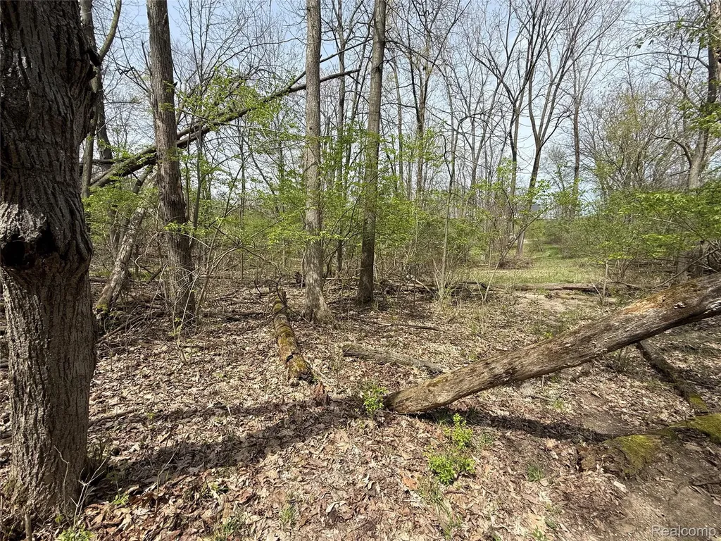 Lot 66 Preserve Drive Tyrone Township MI 48430