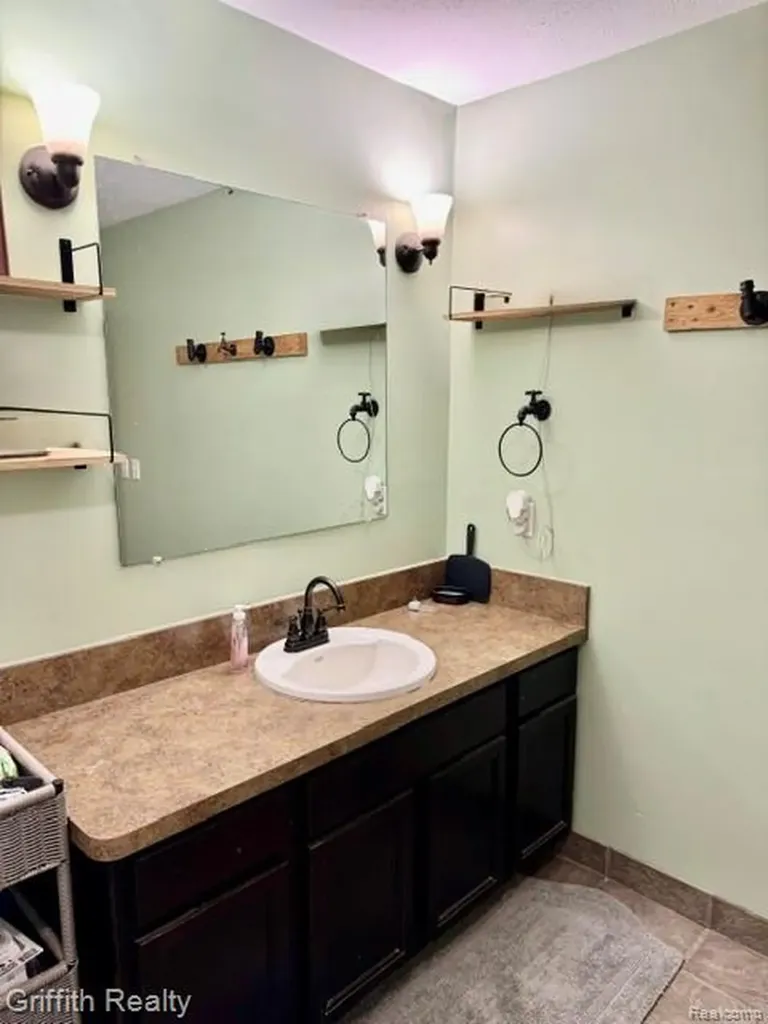 3148 Hogback Road Handy Township MI 48836