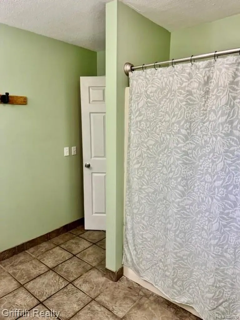 3148 Hogback Road Handy Township MI 48836