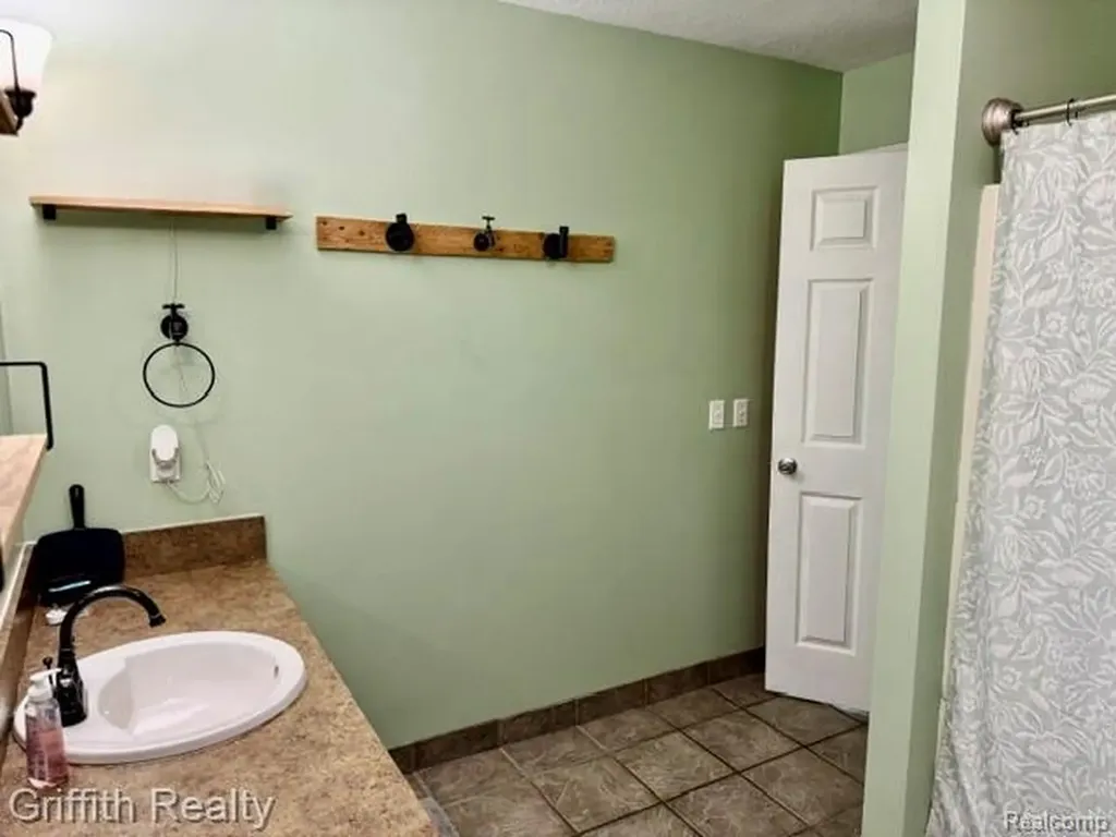 3148 Hogback Road Handy Township MI 48836