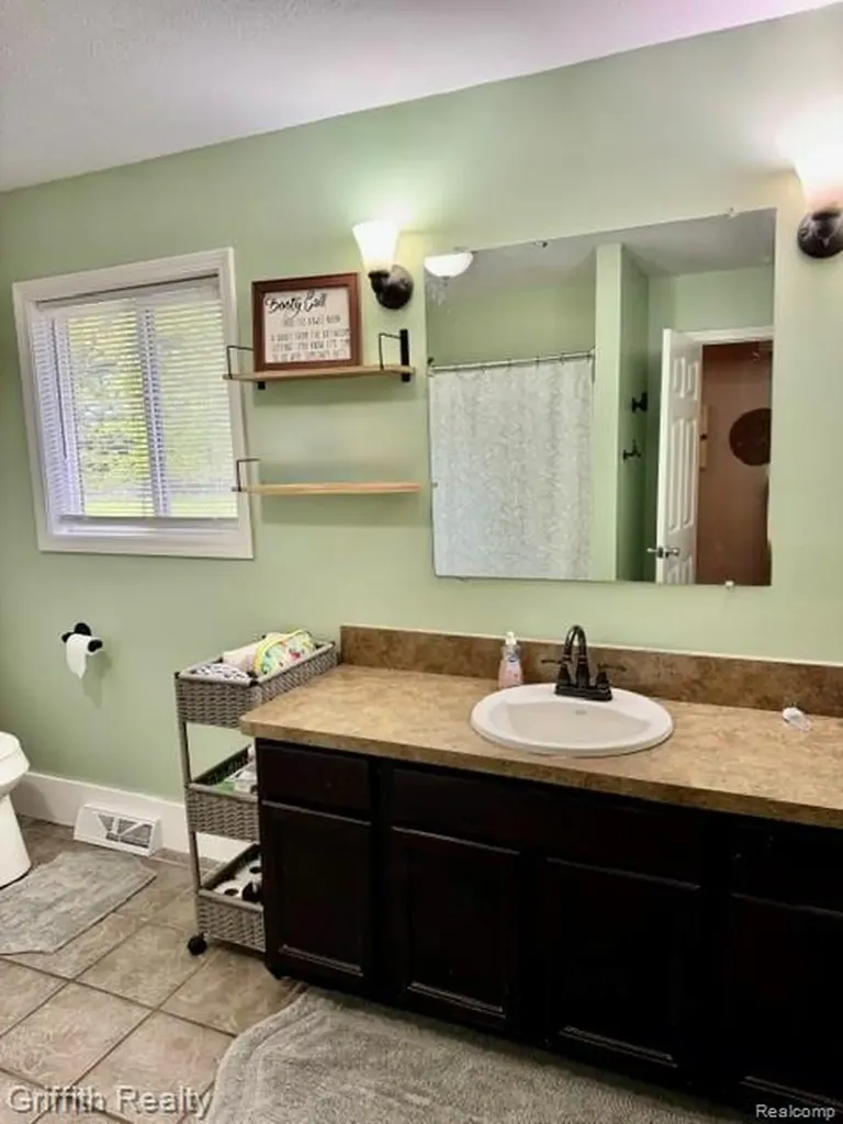 3148 Hogback Road Handy Township MI 48836