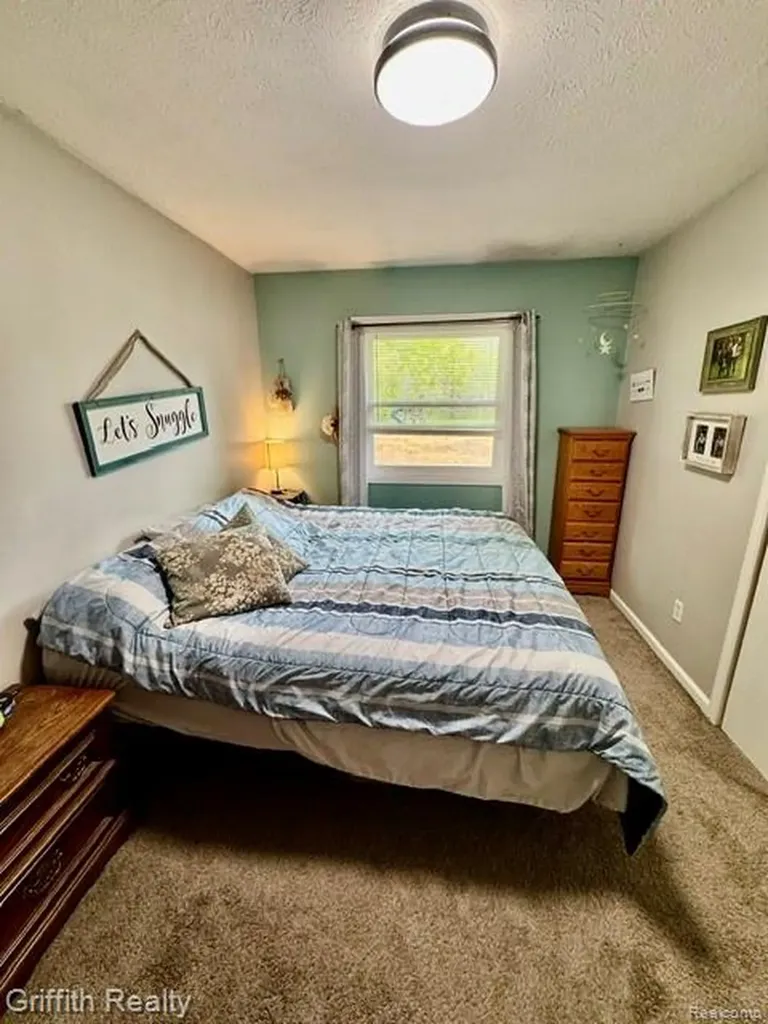 3148 Hogback Road Handy Township MI 48836