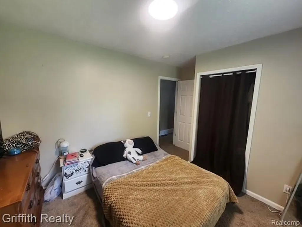 3148 Hogback Road Handy Township MI 48836