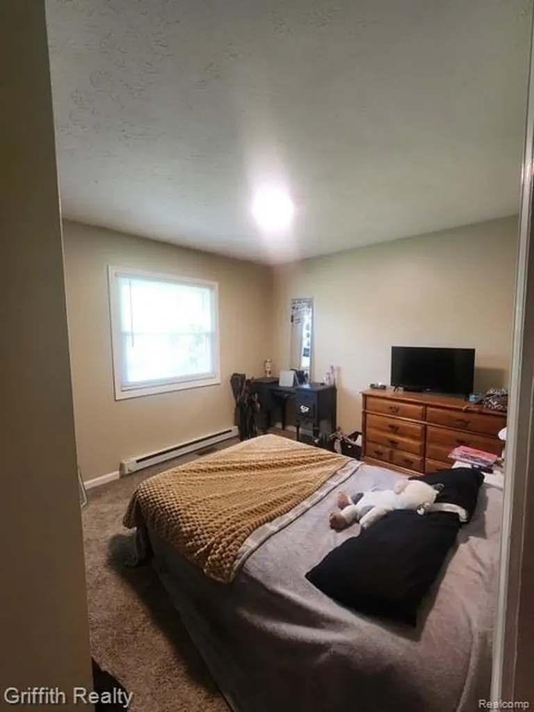 3148 Hogback Road Handy Township MI 48836
