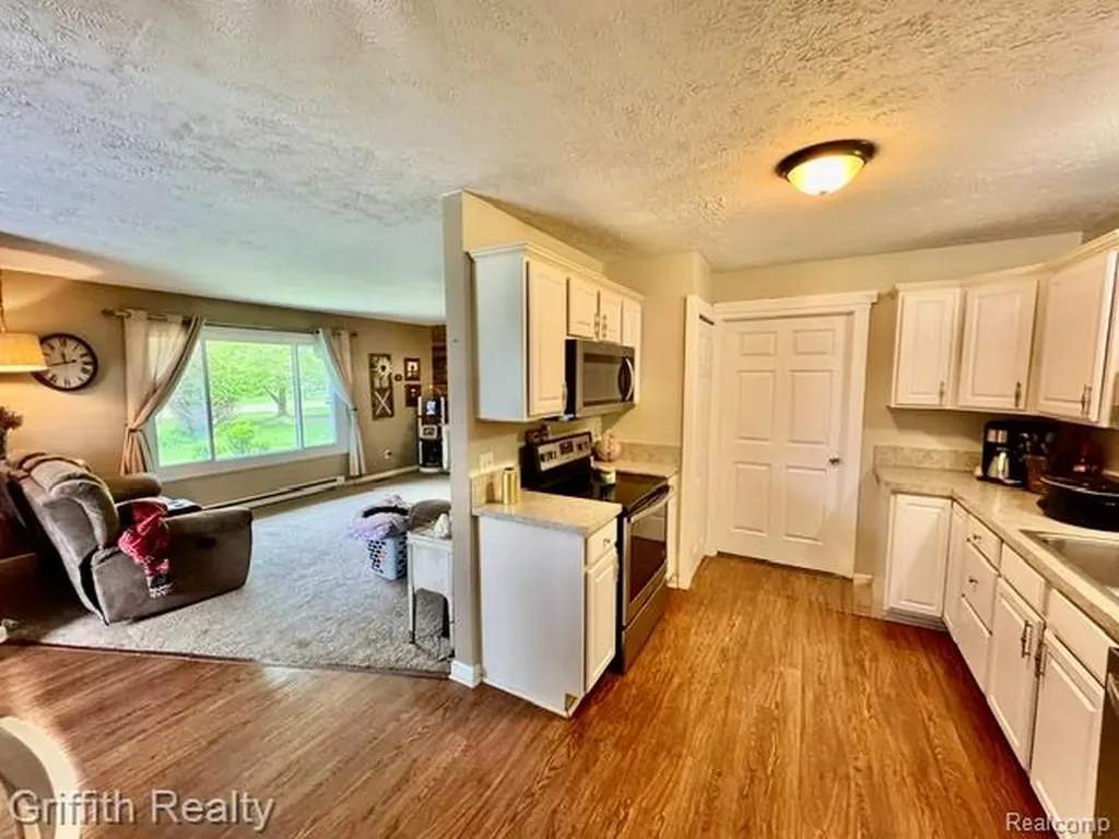 3148 Hogback Road Handy Township MI 48836