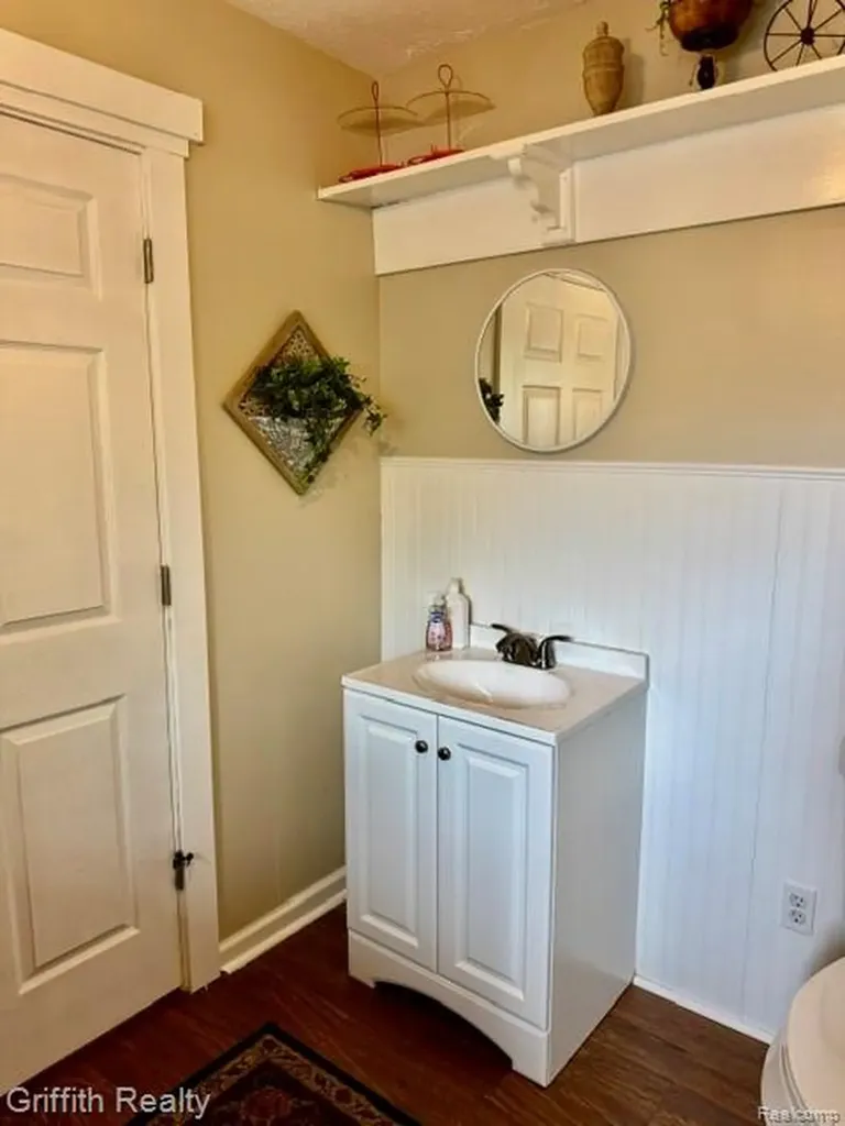 3148 Hogback Road Handy Township MI 48836