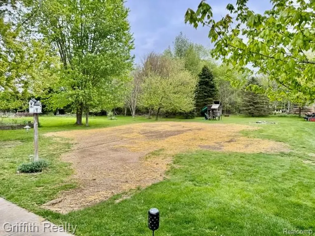 3148 Hogback Road Handy Township MI 48836