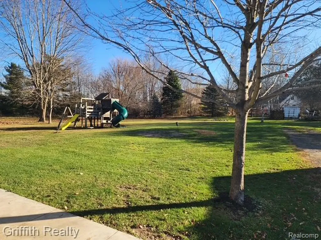 3148 Hogback Road Handy Township MI 48836