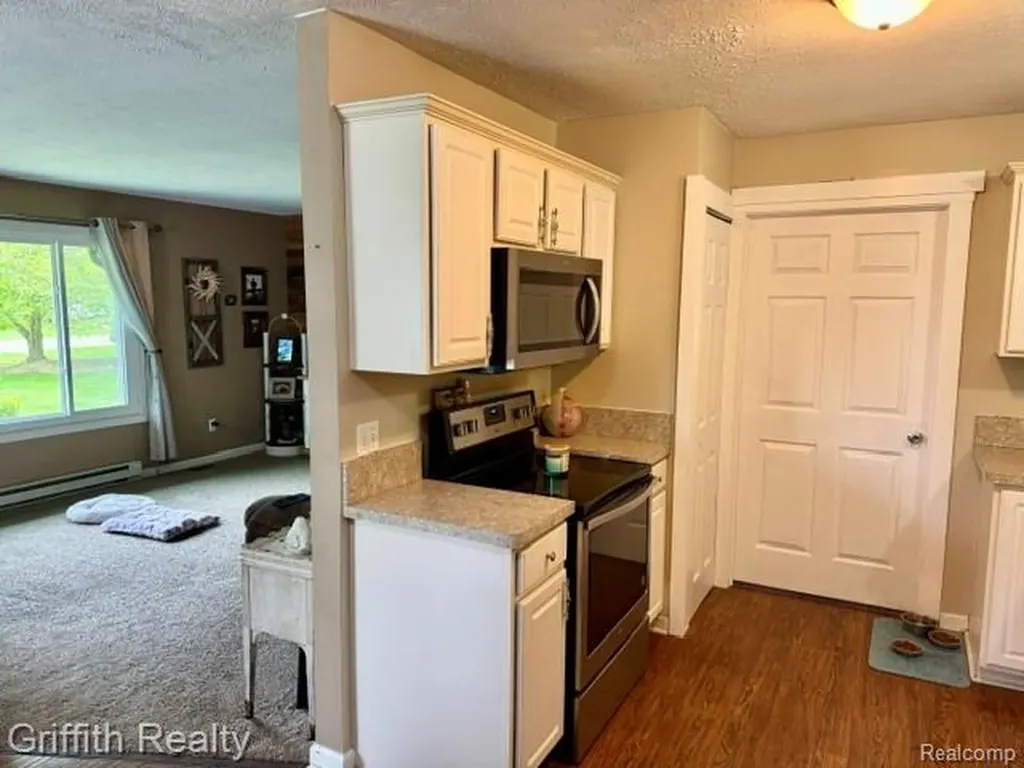 3148 Hogback Road Handy Township MI 48836