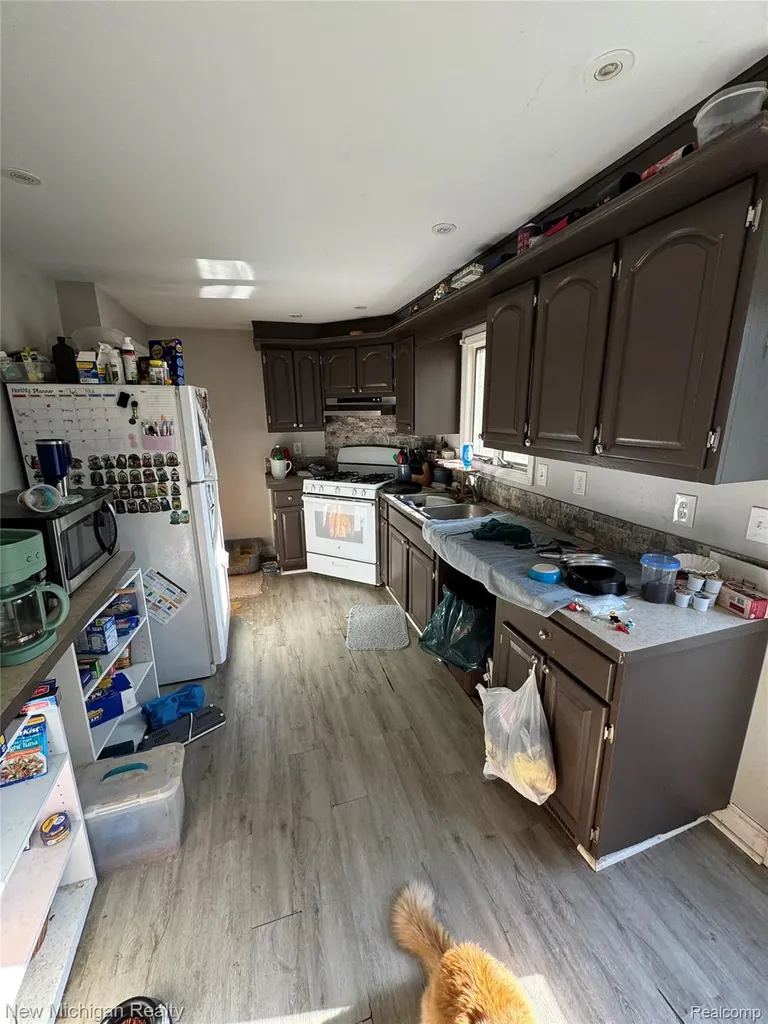 305 E Rolfe Perry City MI 48872