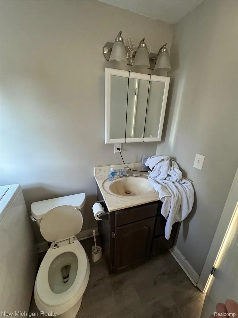 305 E Rolfe Perry City MI 48872
