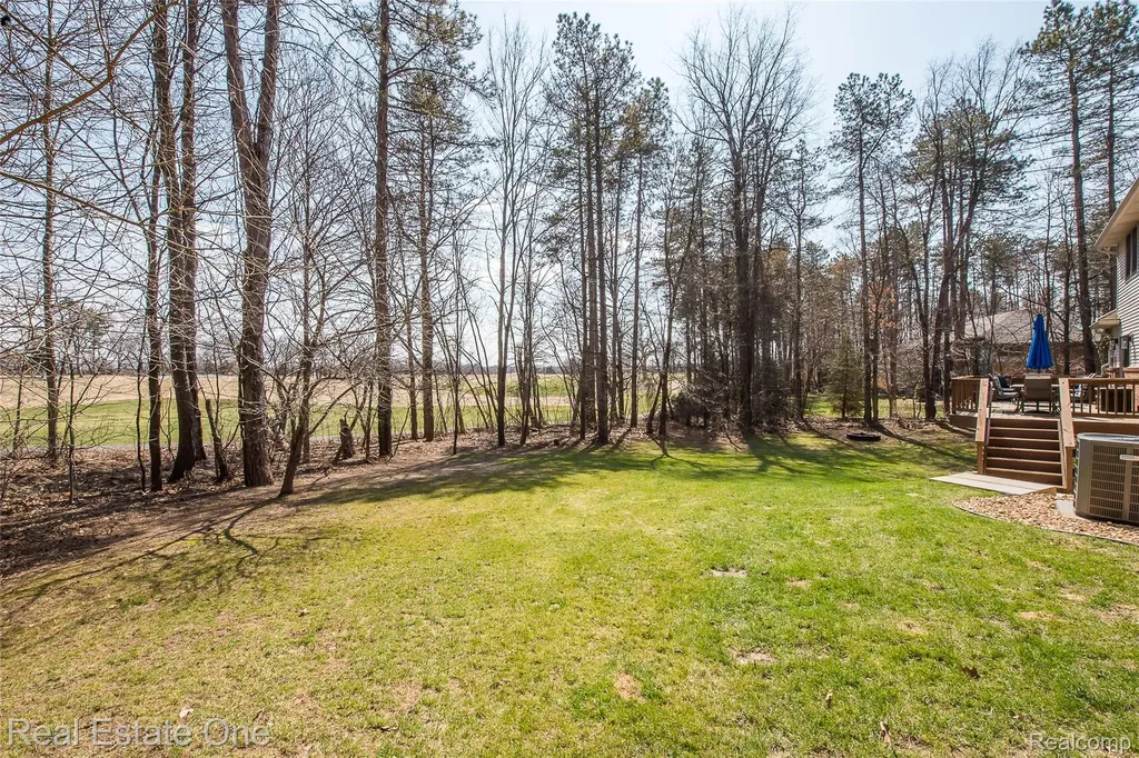 4387 Emu Drive Putnam Township MI 48169