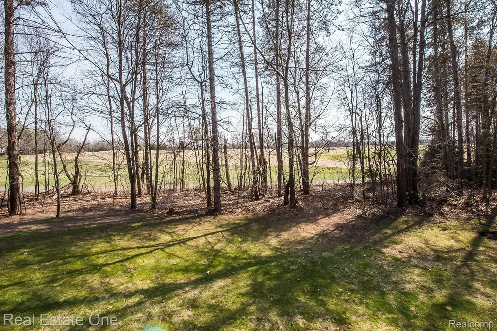 4387 Emu Drive Putnam Township MI 48169