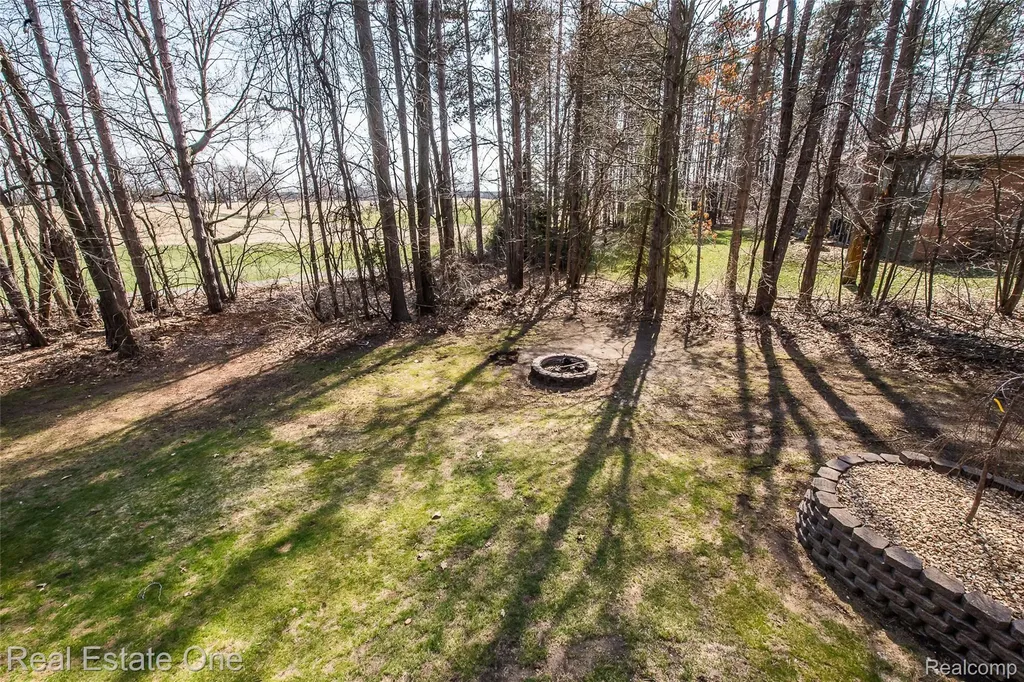 4387 Emu Drive Putnam Township MI 48169