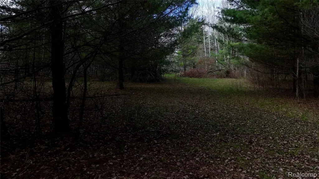 6392 20th Ave Avenue Sylvan Township MI 49679