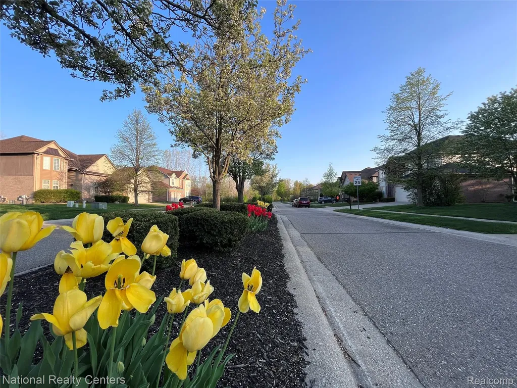 2056 Somerville Rochester Hills City MI 48307