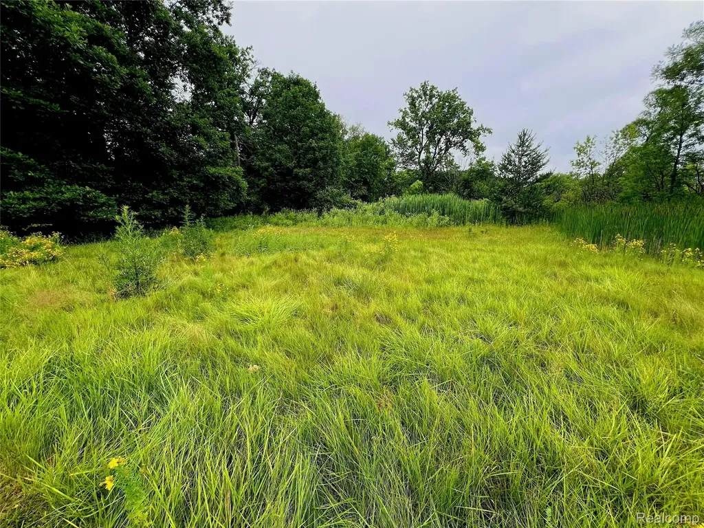 Lot 94 Hiller Road West Bloomfield Charter Township MI 48324