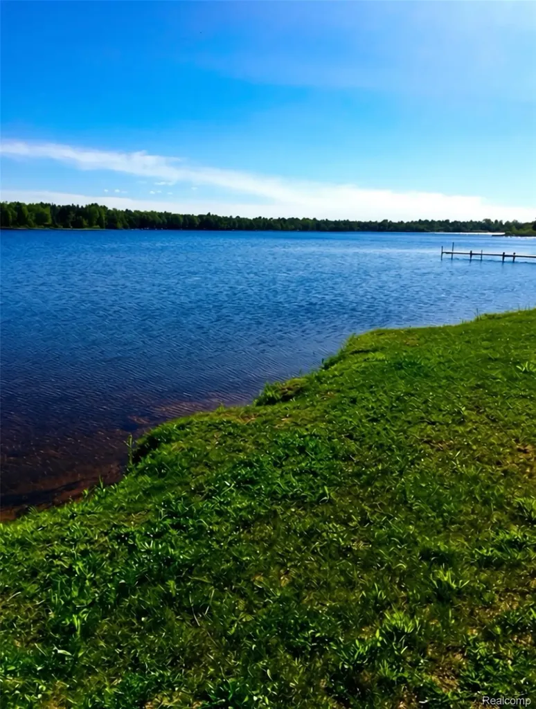 32993 W Birch Shores Drive Trout Lake Township MI 49793