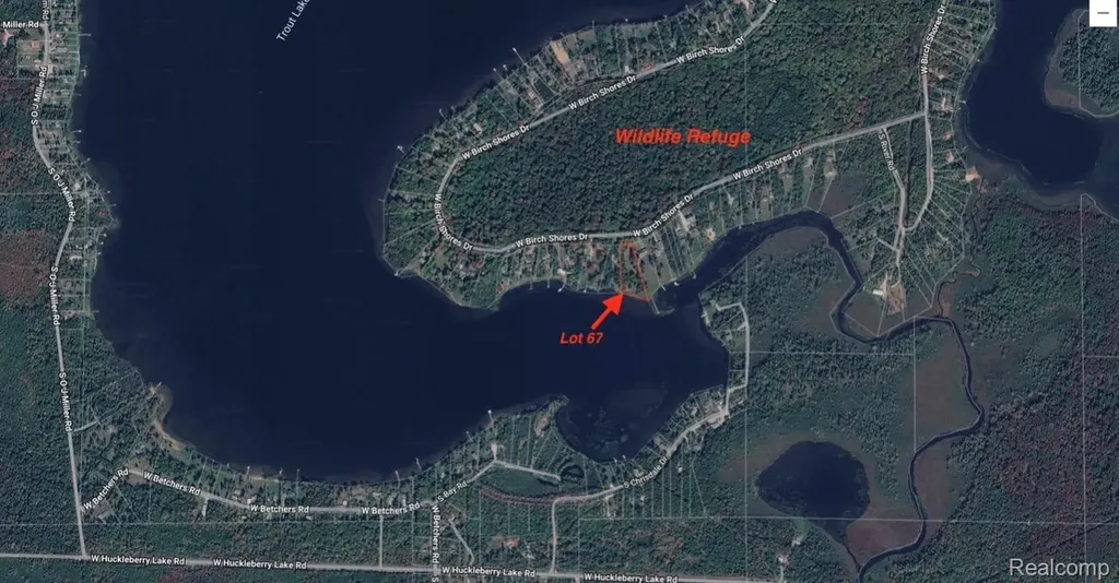 32993 W Birch Shores Drive Trout Lake Township MI 49793