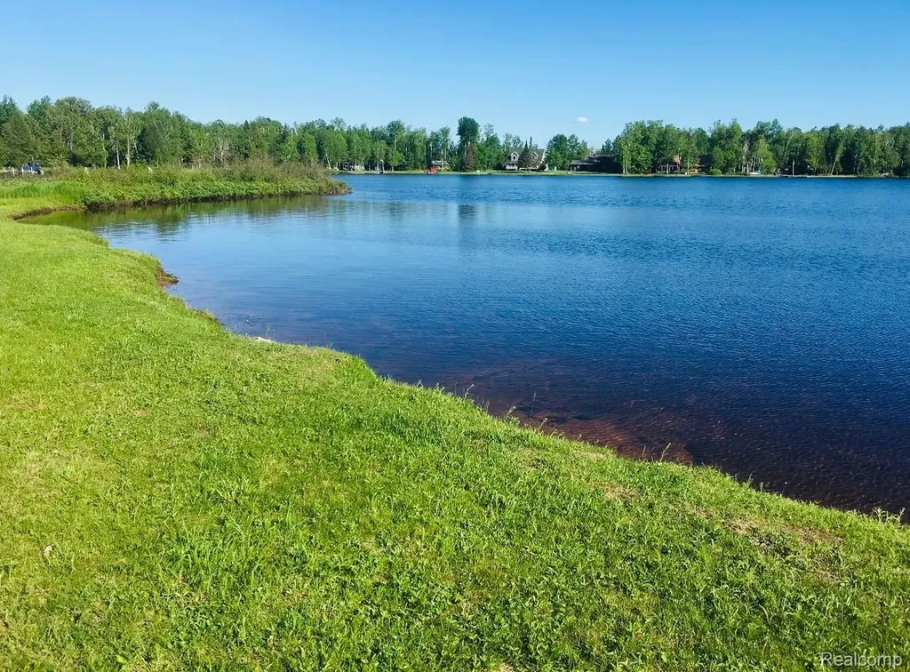 32993 W Birch Shores Drive Trout Lake Township MI 49793
