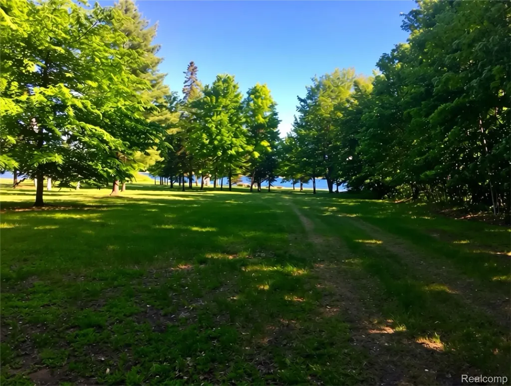 32993 W Birch Shores Drive Trout Lake Township MI 49793