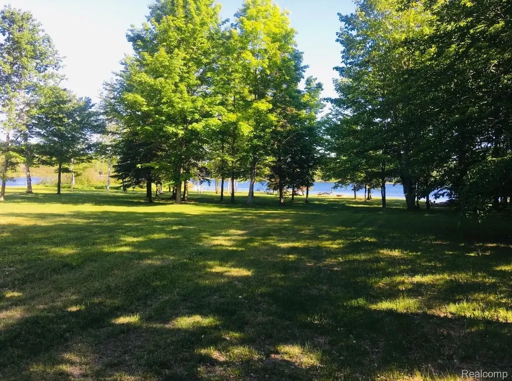 32993 W Birch Shores Drive Trout Lake Township MI 49793