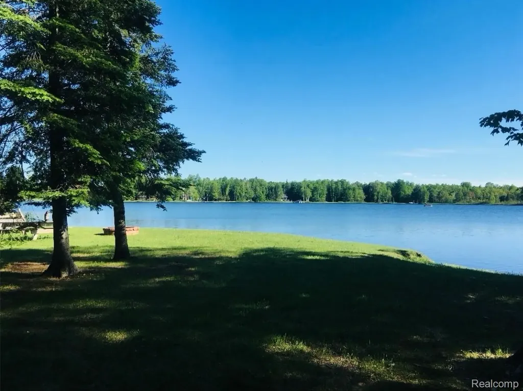 32993 W Birch Shores Drive Trout Lake Township MI 49793