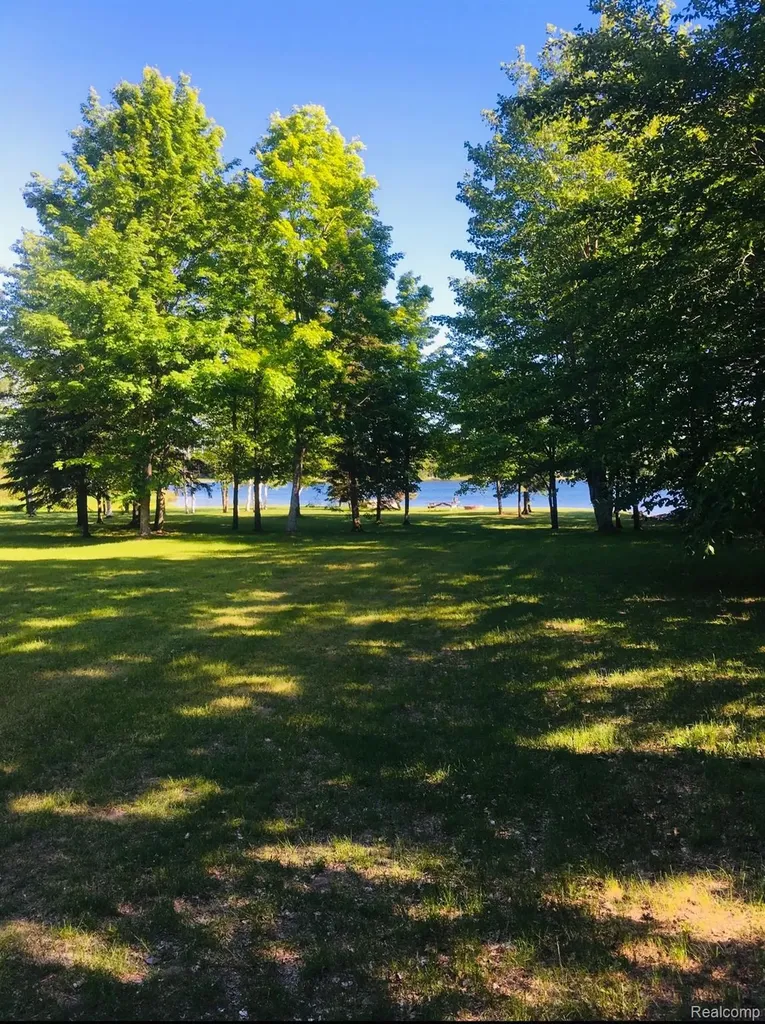 32993 W Birch Shores Drive Trout Lake Township MI 49793