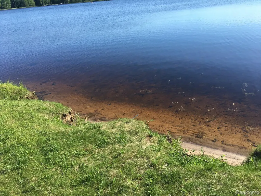 32993 W Birch Shores Drive Trout Lake Township MI 49793